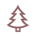picto sapin